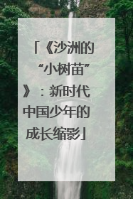 《沙洲的“小树苗”》：新时代中国少年的成长缩影