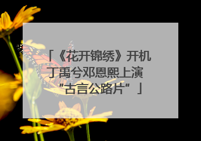 《花开锦绣》开机 丁禹兮邓恩熙上演“古言公路片”