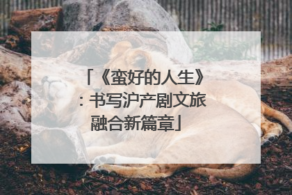 《蛮好的人生》：书写沪产剧文旅融合新篇章
