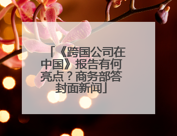 《跨国公司在中国》报告有何亮点？商务部答封面新闻