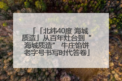 「北纬40度 海城质造」从百年灶台到“海城质造” 牛庄馅饼老字号书写时代答卷