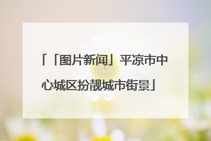 「图片新闻」平凉市中心城区扮靓城市街景