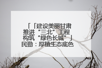 「建设美丽甘肃 推进“三北”工程 构筑“绿色长城”」民勤：厚植生态底色 筑牢绿色屏障