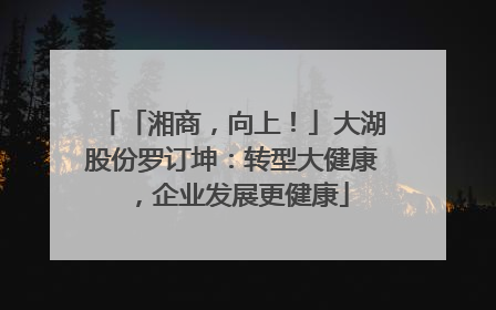 「湘商，向上！」大湖股份罗订坤：转型大健康，企业发展更健康