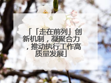 「走在前列」创新机制，凝聚合力，推动执行工作高质量发展