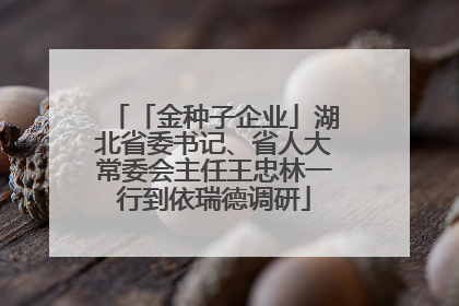 「金种子企业」湖北省委书记、省人大常委会主任王忠林一行到依瑞德调研