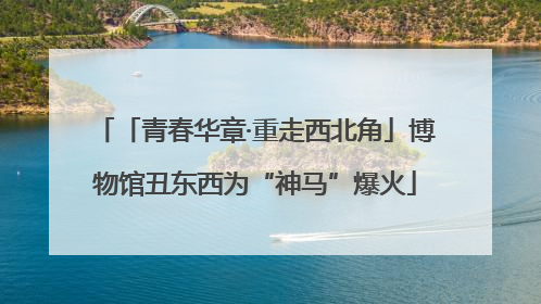 「青春华章·重走西北角」博物馆丑东西为“神马”爆火