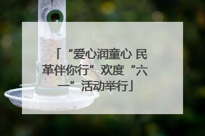 “爱心润童心 民革伴你行”欢度“六一”活动举行
