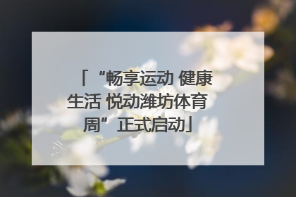 “畅享运动 健康生活 悦动潍坊体育周”正式启动