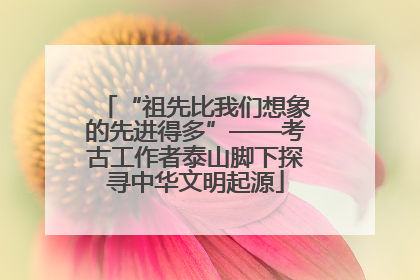 “祖先比我们想象的先进得多”——考古工作者泰山脚下探寻中华文明起源