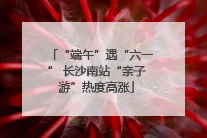 “端午”遇“六一” 长沙南站“亲子游”热度高涨
