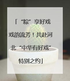 “粽”享好戏 戏韵流芳！共赴河北“中华有好戏”特别之约