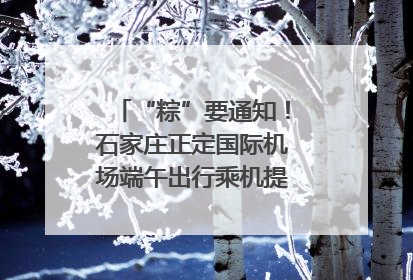 “粽”要通知！石家庄正定国际机场端午出行乘机提示，快来get