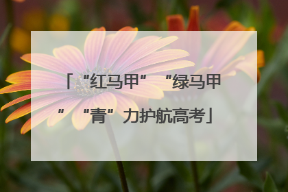 “红马甲”“绿马甲”“青”力护航高考