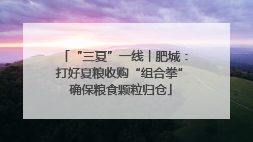 “三夏”一线丨肥城：打好夏粮收购“组合拳” 确保粮食颗粒归仓