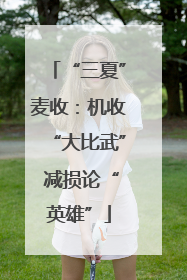 “三夏”麦收：机收“大比武” 减损论“英雄”