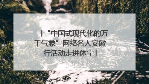 “中国式现代化的万千气象”网络名人安徽行活动走进休宁