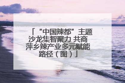 “中国辣都”主题沙龙集智聚力 共商萍乡辣产业多元赋能路径（图）