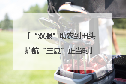 “双服”助农到田头 护航“三夏”正当时