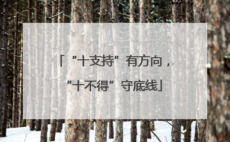 “十支持”有方向，“十不得”守底线
