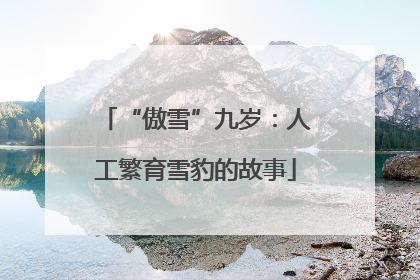 “傲雪”九岁：人工繁育雪豹的故事