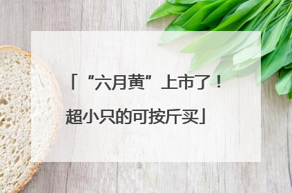“六月黄”上市了！超小只的可按斤买