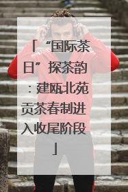 “国际茶日”探茶韵：建瓯北苑贡茶春制进入收尾阶段