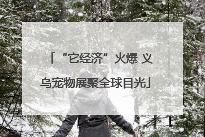 “它经济”火爆 义乌宠物展聚全球目光