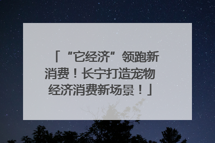 “它经济”领跑新消费！长宁打造宠物经济消费新场景！