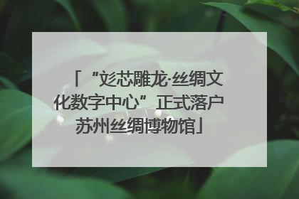 “彣芯雕龙·丝绸文化数字中心”正式落户苏州丝绸博物馆