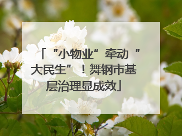 “小物业”牵动“大民生”！舞钢市基层治理显成效