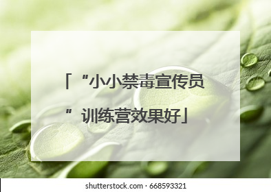 “小小禁毒宣传员”训练营效果好