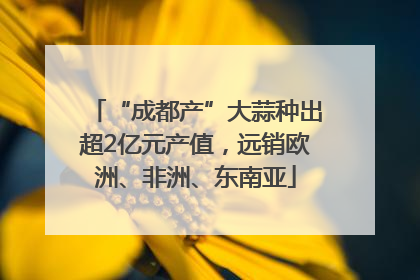 “成都产”大蒜种出超2亿元产值，远销欧洲、非洲、东南亚