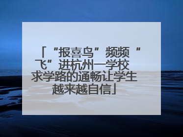 “报喜鸟”频频“飞”进杭州一学校 求学路的通畅让学生越来越自信