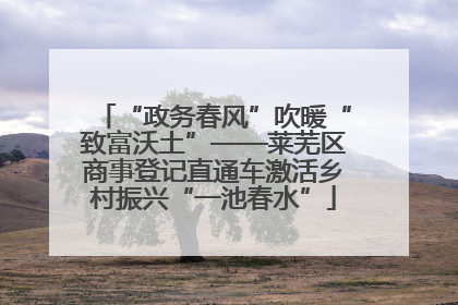 “政务春风”吹暖“致富沃土”——莱芜区商事登记直通车激活乡村振兴“一池春水”