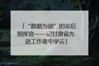 “数据为剑”的幕后指挥官——记甘肃省先进工作者牛学云