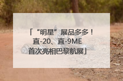 “明星”展品多多！直-20、直-9ME首次亮相巴黎航展