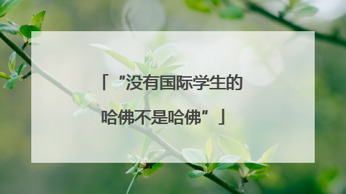 “没有国际学生的哈佛不是哈佛”