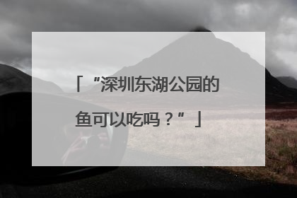 “深圳东湖公园的鱼可以吃吗？”