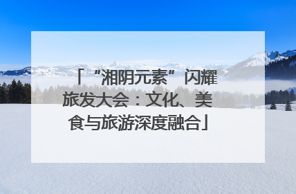 “湘阴元素”闪耀旅发大会：文化、美食与旅游深度融合