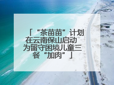 “茶苗苗”计划在云南保山启动 为留守困境儿童三餐“加肉”