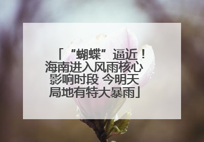 “蝴蝶”逼近！海南进入风雨核心影响时段 今明天局地有特大暴雨