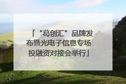 “葛创汇”品牌发布暨光电子信息专场投融资对接会举行