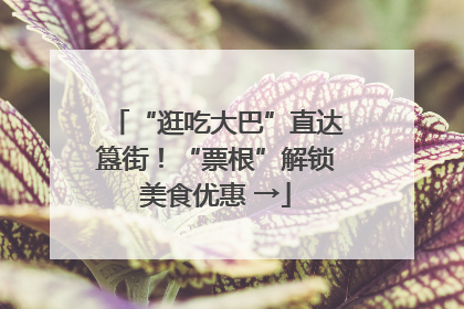 “逛吃大巴”直达簋街！“票根”解锁美食优惠 →