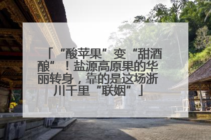 “酸苹果”变“甜酒酿”！盐源高原果的华丽转身，靠的是这场浙川千里“联姻”