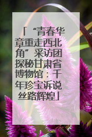 “青春华章重走西北角”采访团探秘甘肃省博物馆：千年珍宝诉说丝路辉煌