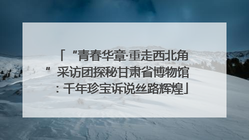 “青春华章·重走西北角”采访团探秘甘肃省博物馆：千年珍宝诉说丝路辉煌
