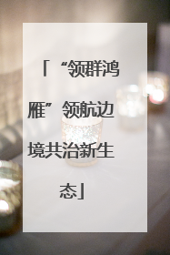 “领群鸿雁”领航边境共治新生态