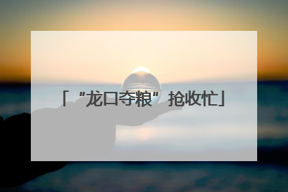 “龙口夺粮”抢收忙