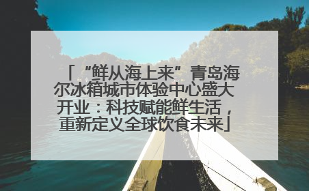 “鲜从海上来”青岛海尔冰箱城市体验中心盛大开业：科技赋能鲜生活，重新定义全球饮食未来